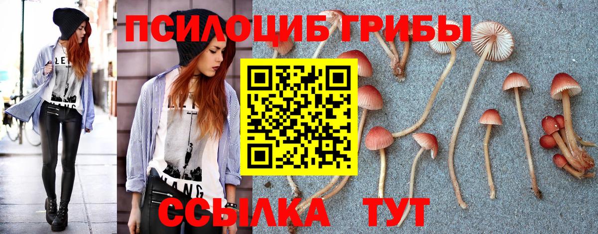 Галлюциногенные грибы Magic Shrooms  Вход с VPN  как найти закладки  Новоалтайск  Галлюциногенные грибы MAGIC MUSHROOMS 
